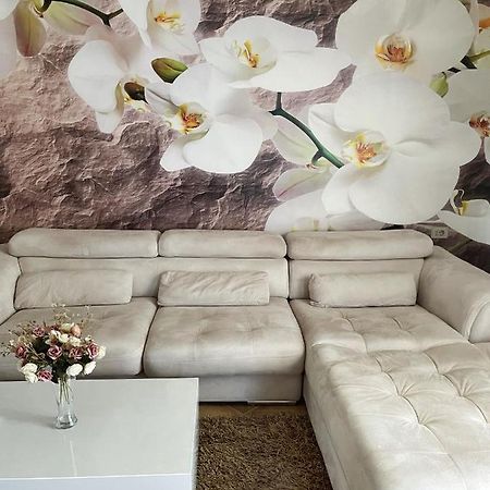 Sunkissed Centre Apartment Vlorë Esterno foto